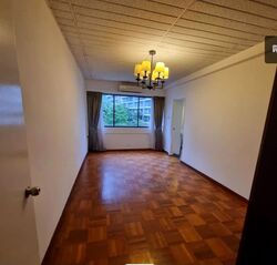 The Cairnhill (D9), Condominium #598382721